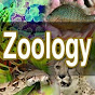 NEET ZOOLOGY ZONE logo