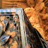 THaV25J_O-s-channel-avatar-danjiri_ shunzu