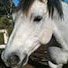 cnx-aJK3RGs-channel-avatar-OutOfMyStable