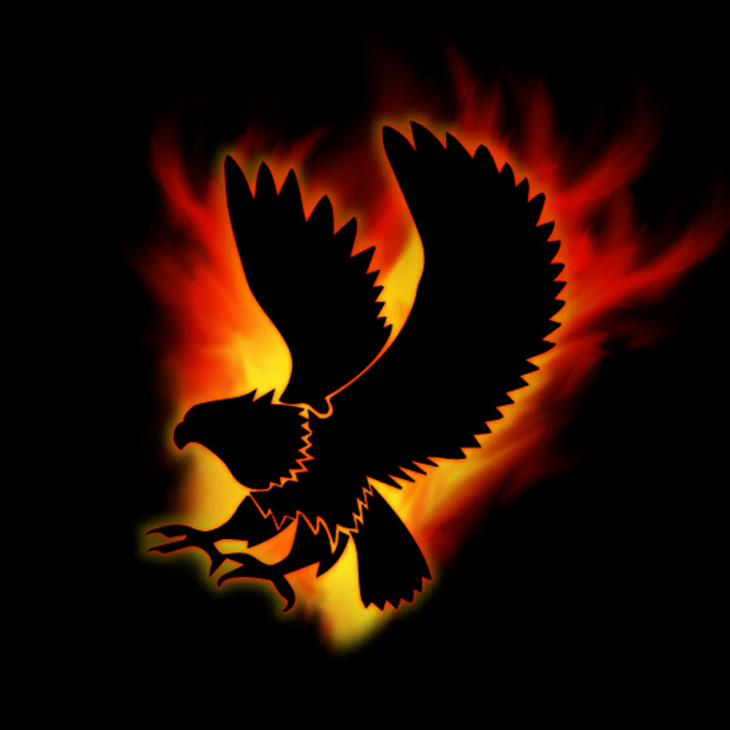 Fire Falcon