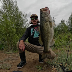 TbanksFish