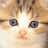 @별빛레터링