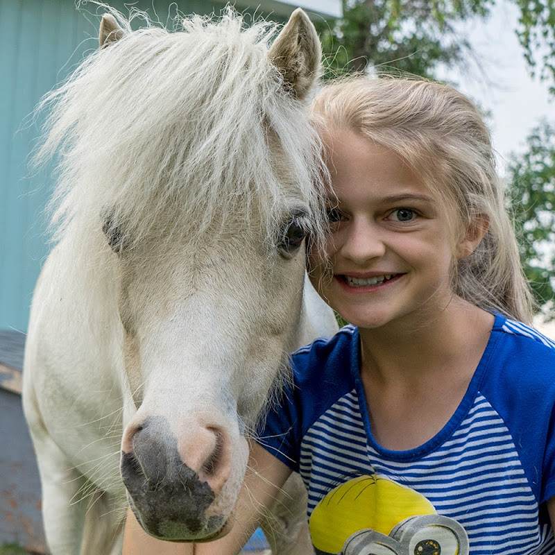 Lilli's Farm