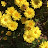 @user-bc6rj5ys7j