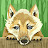 @user-fd6hl7uu3t