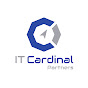 IT Cardinal Partners logo