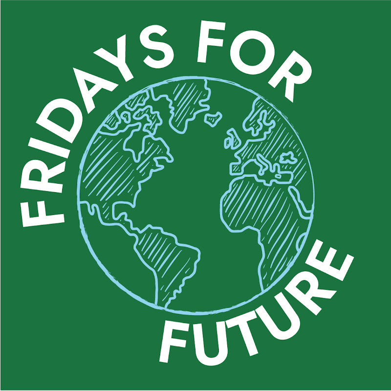 Fridays for Future DE
