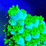 rqdlY2gzCpY-channel-avatar-ilovereefing