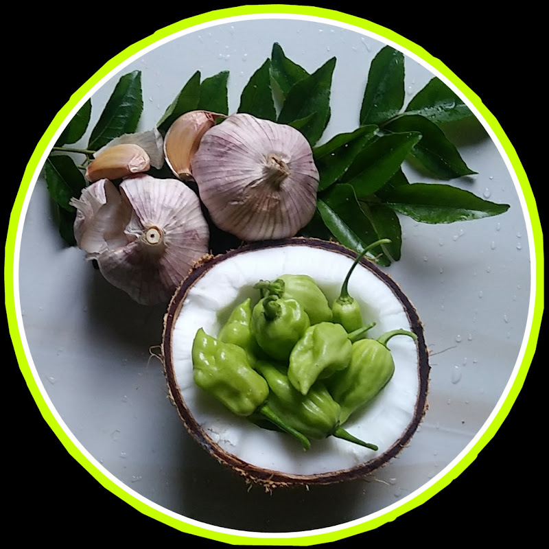 Food Githu icon