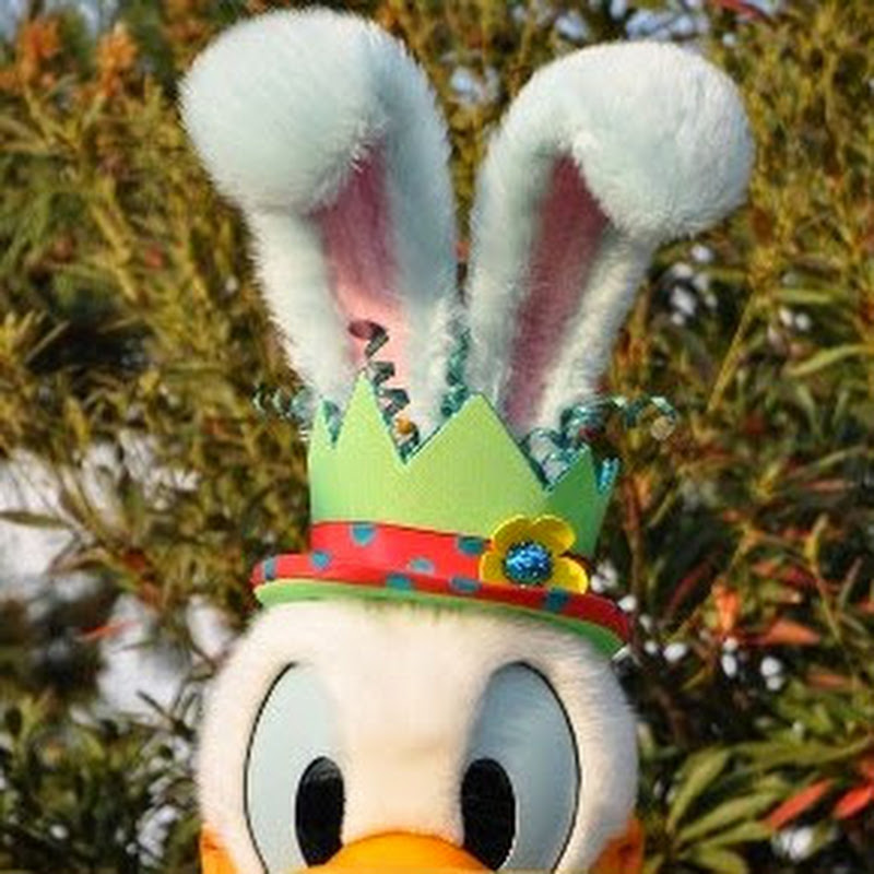 hophopdonaのサムネイル