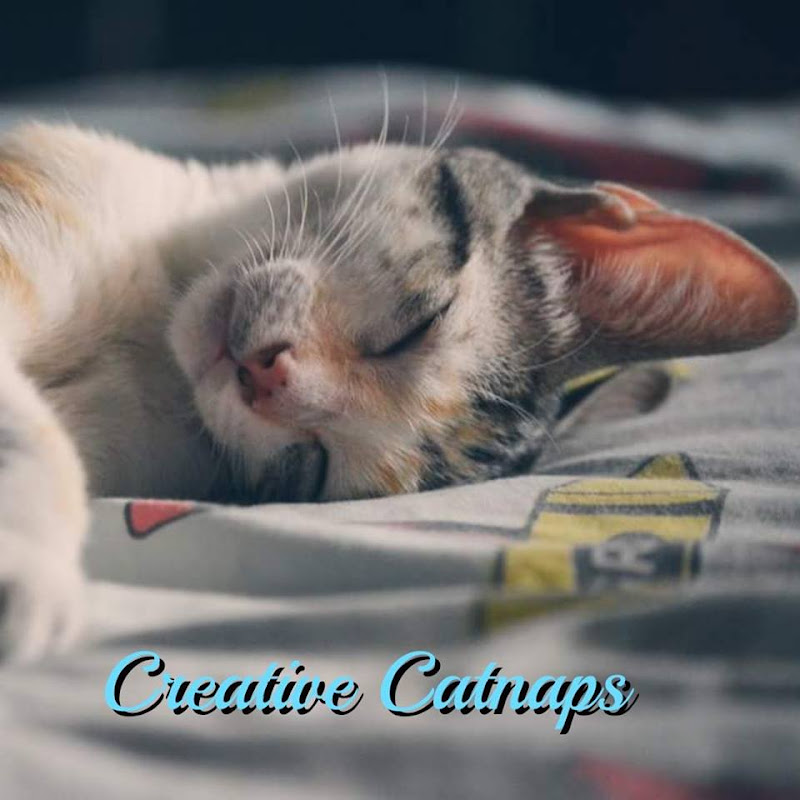 Creative Catnaps