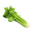 @howtocelery8791