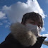 EANRoSBv2uY-channel-avatar-めだか45