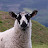@francoisg3500 Avatar