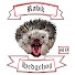 udFTUkggHJ8-channel-avatar-Rabid Hedgehog