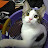 @بوسيكات-ح7ن