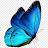 قناة الفراشة _ The butterfly channel