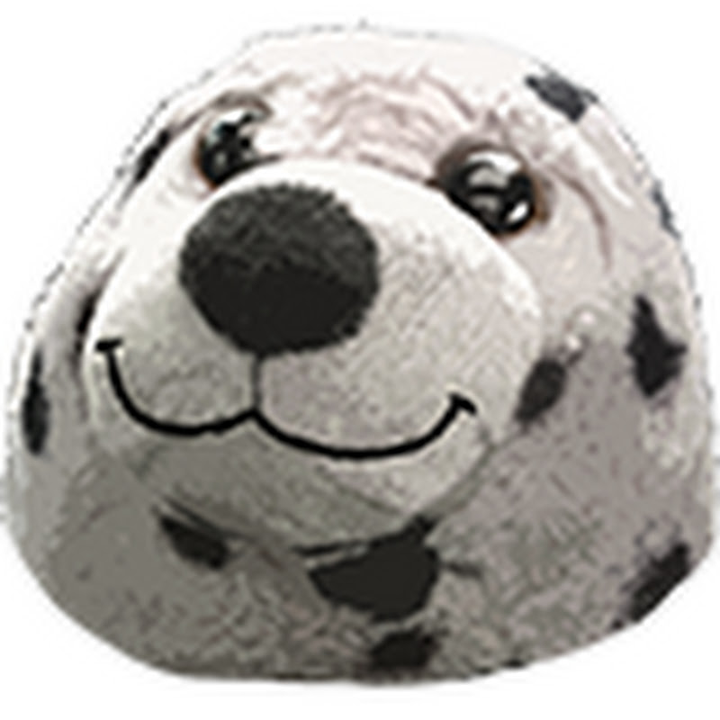 CVH icon