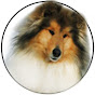 All about Rough Collie logo