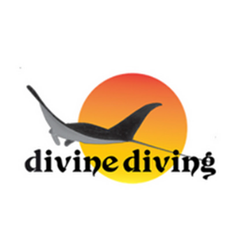 divinedivingflores671