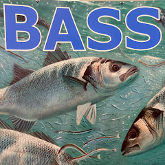 TheUkBASSvideo