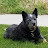 @stevekirsch9111 Avatar