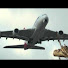 t-5_RZ9vVz4-channel-avatar-Cabincrewifly