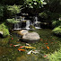 csidlRsHr8E-channel-avatar-Weaves Adventures