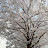 @user-kt3cc6sy1w
