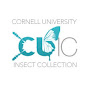 Cornell University Insect Collection logo
