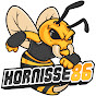 Hornisse86