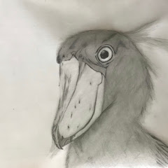 ぽぽぽぽ