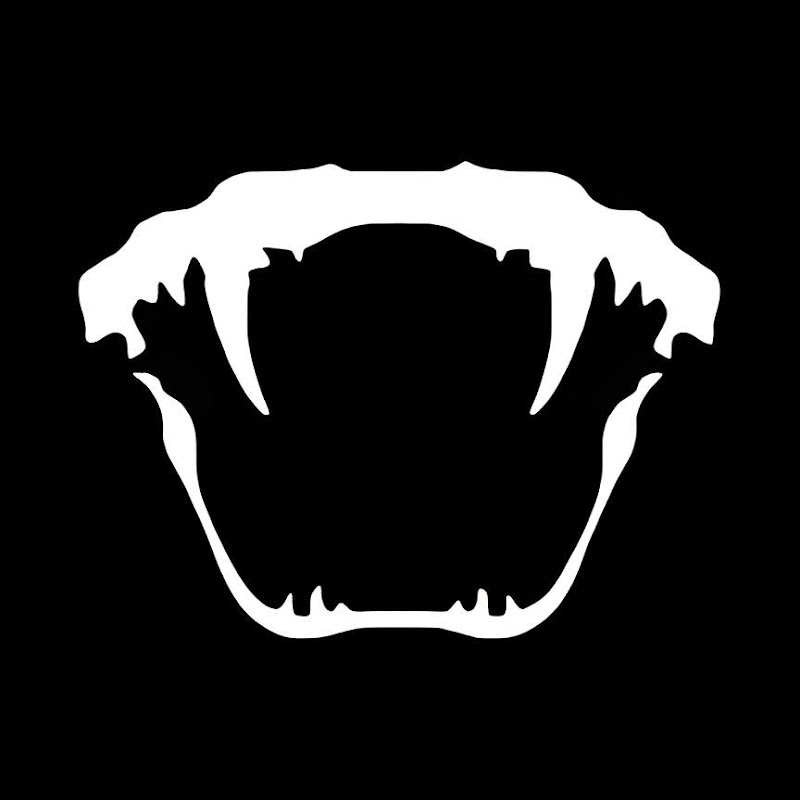 Snake-DST icon