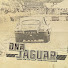 WlHu3qal6gk-channel-avatar-DNA Jaguar