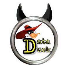 Data Duck channel avatar