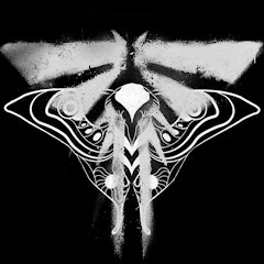 Entre Polillas y Luciernagas