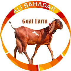 Ali Bahadar Goat Farm net worth