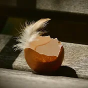 修羅場7ch