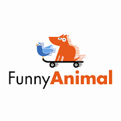 Funny Animal channel avatar