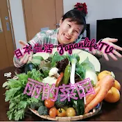 日本生活 JapanlifeTV