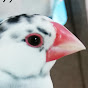 水原トオル