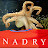 @mohamedalnadry3329
