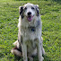 YvQAg838xGs-channel-avatar-Dickinson College Farm