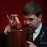 TmA9B_VwV9s-channel-avatar-The Gentleman Magician