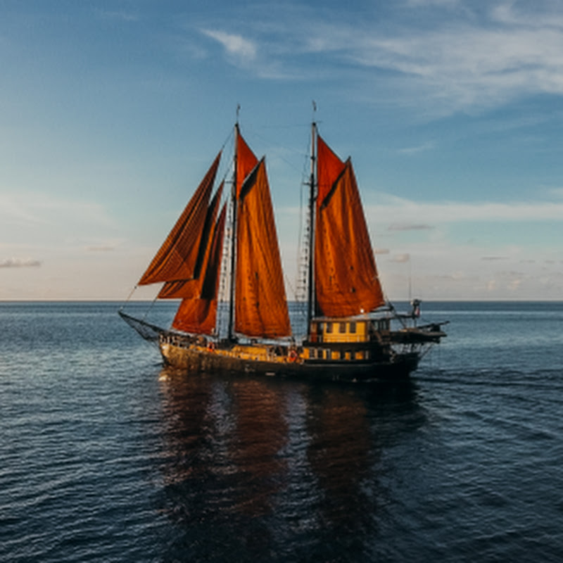 adelaarcruisesdenpasar