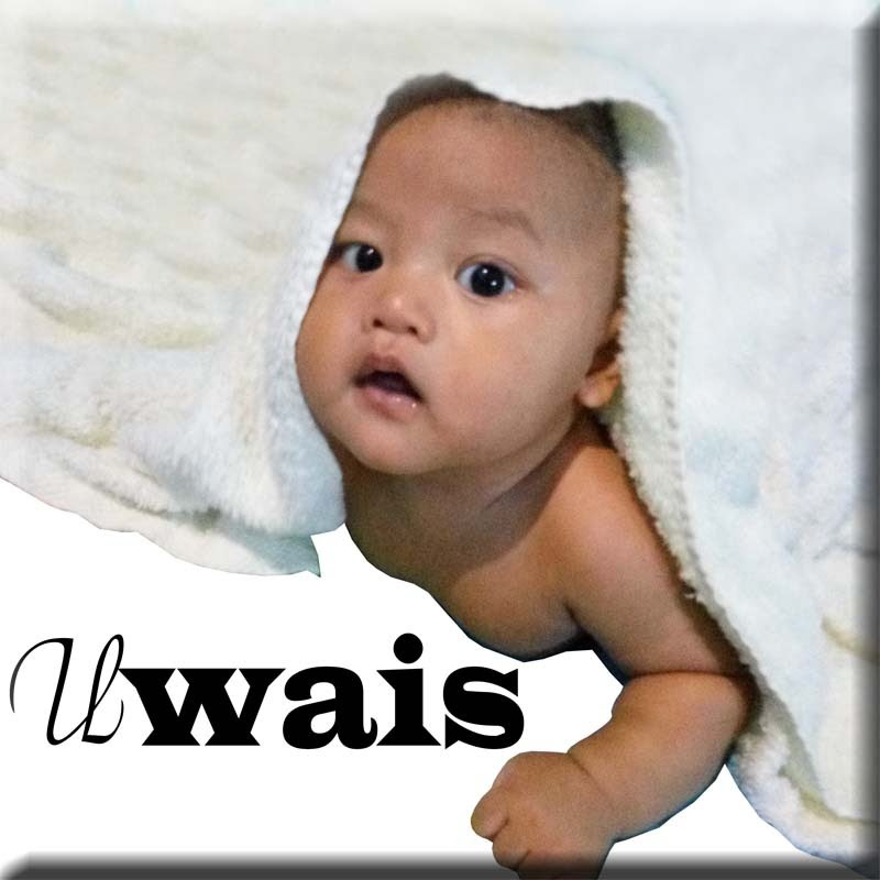 Diary Uwais