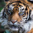 @jumpingjohn280459 Avatar