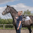 pBovy5GwwHM-channel-avatar-A Day In The Life Of A Saddle Fitter