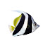 ELBrybrYrGo-channel-avatar-Great Barrier Reef Foundation