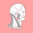 Z-sAzQK4u9Q-channel-avatar-Anatomy Knowledge
